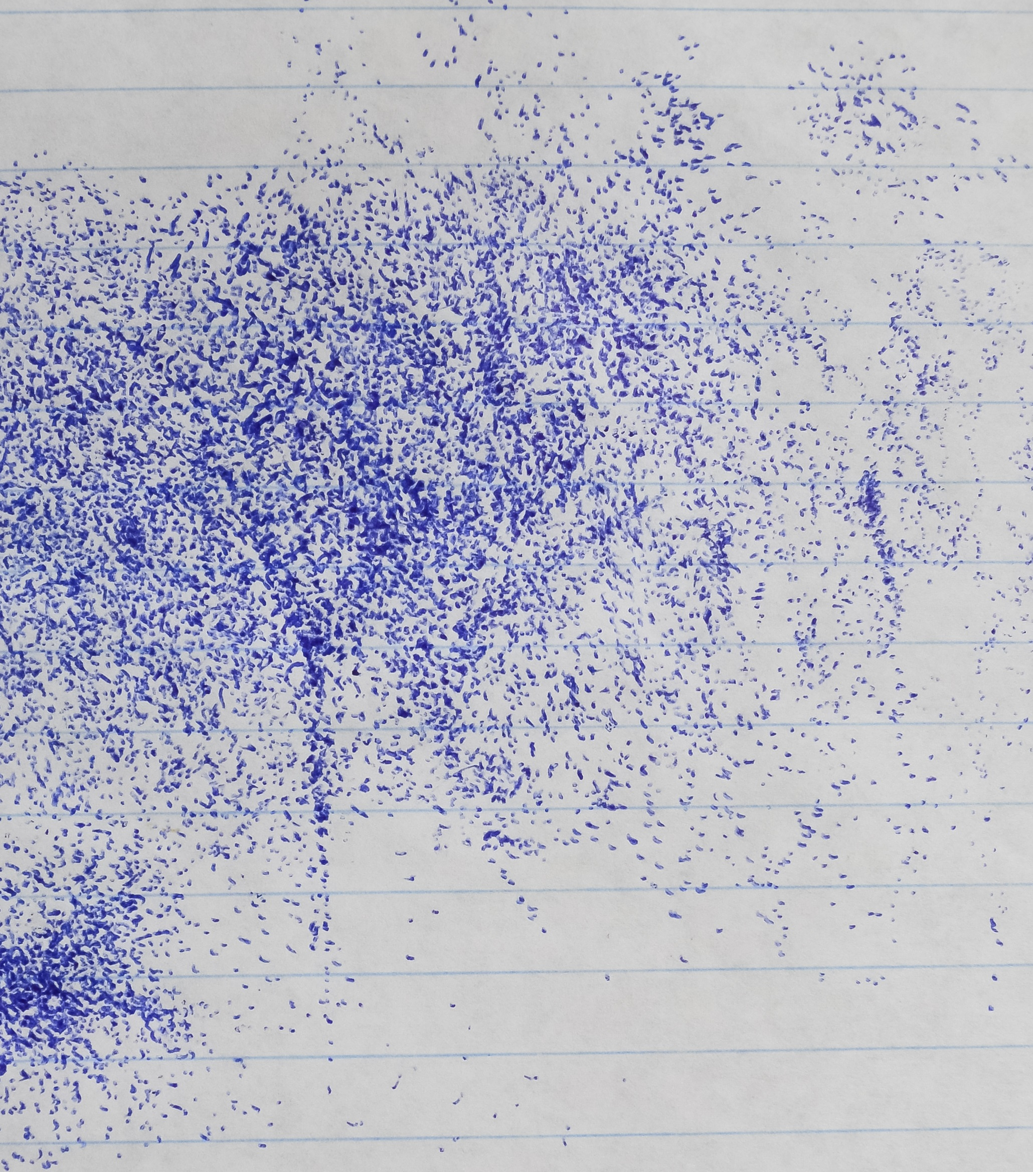 The Invisible Forest